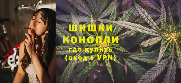 PSILOCYBIN Вязьма