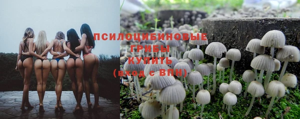 а пвп мука Вяземский