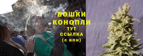 PSILOCYBIN Вязьма