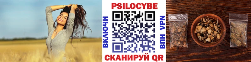 Галлюциногенные грибы GOLDEN TEACHER где можно купить Гурьевск